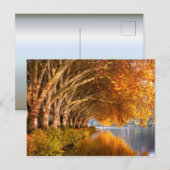 Najaarsbomen boven een meer briefkaart (Voorkant / Achterkant)