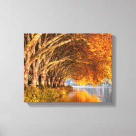 Najaarsbomen boven een meer canvas afdruk