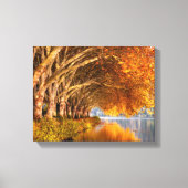 Najaarsbomen boven een meer canvas afdruk (Voorkant)