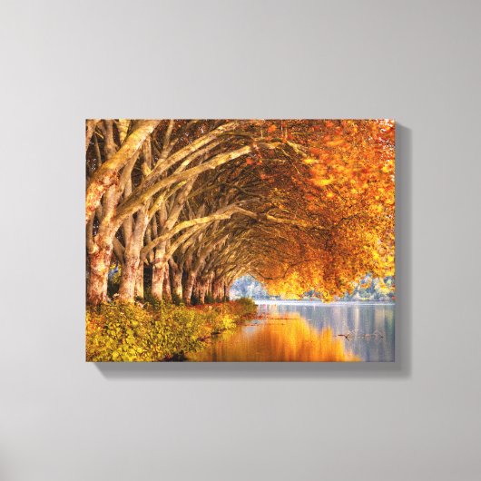 Najaarsbomen boven een meer canvas afdruk (Voorkant)