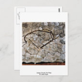 Najaarsbomen in de wind door Schiele Egon Briefkaart (Voorkant / Achterkant)