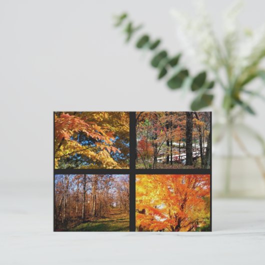 Najaarsbomen in het Briefkaart van Arkansas Fotogr (Staand voorkant)