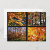 Najaarsbomen in het Briefkaart van Arkansas Fotogr (Voorkant / Achterkant)