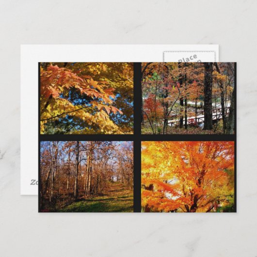 Najaarsbomen in het Briefkaart van Arkansas Fotogr (Voorkant / Achterkant)