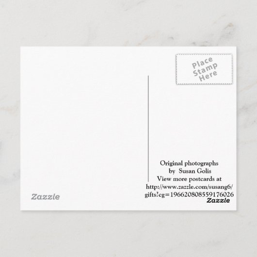 Najaarsbomen in het Briefkaart van Arkansas Fotogr (Achterkant)