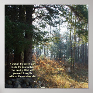 Najaarsbomen in vroeg-morning-healing gedicht poster