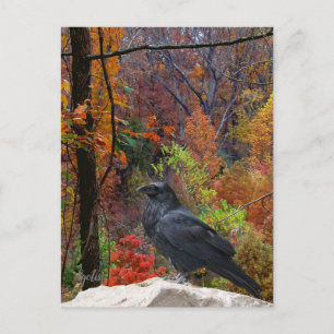 Najaarsbomen met Crow Seasonal Briefkaart