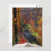 Najaarsbomen met Crow Seasonal Briefkaart (Voorkant / Achterkant)