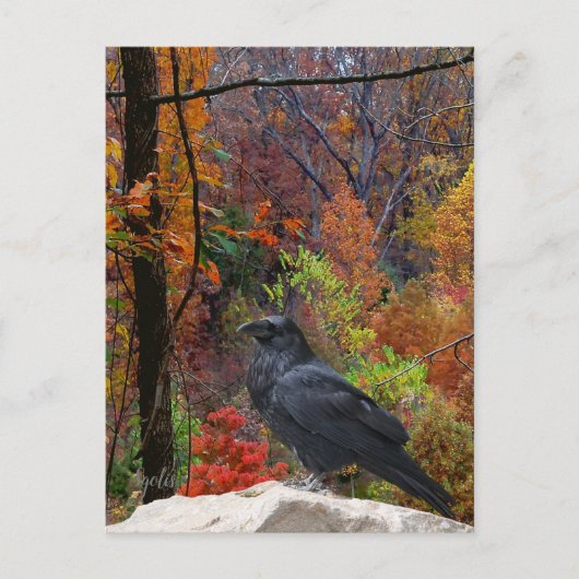 Najaarsbomen met Crow Seasonal Briefkaart (Voorkant)