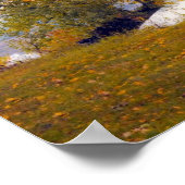 Najaarsbomen Poster Misty Lake (Hoek)