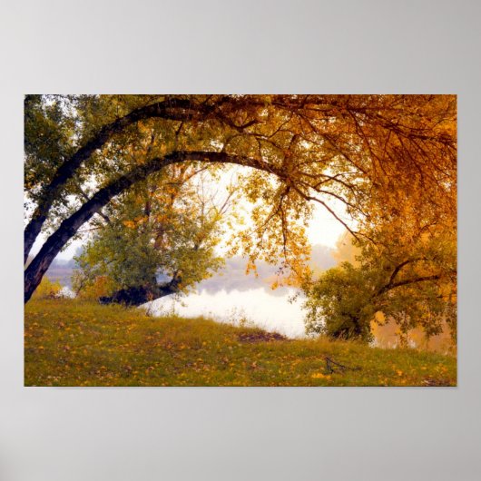 Najaarsbomen Poster Misty Lake (Voorkant)