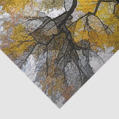 Najaarsboom Geel Grijs Leidt Sky Tissuepapier (Detail)
