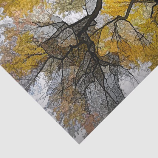 Najaarsboom Geel Grijs Leidt Sky Tissuepapier (Detail)