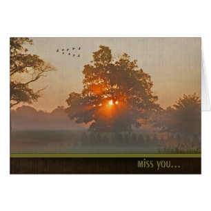 Najaarsboom in de gierzige zon