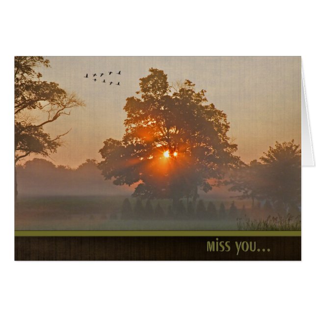 Najaarsboom in de gierzige zon (Voorkant Horizontaal)