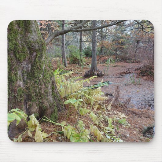 Najaarscène in een botanische tuin. muismat (Voorkant)