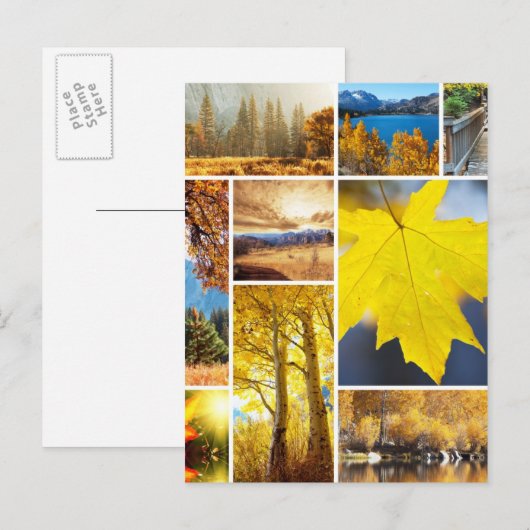 Najaarscollage Briefkaart (Voorkant / Achterkant)