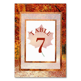Najaarsdag  Herfst Leaf Table Number Kaart