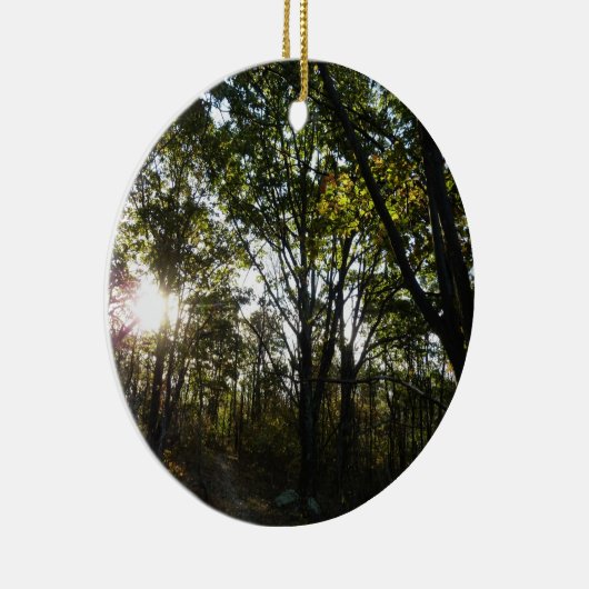 Najaarsdag in het Nationaal Park Shenandoah Keramisch Ornament (Rechts)