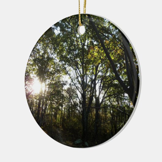 Najaarsdag in het Nationaal Park Shenandoah Keramisch Ornament (Links)