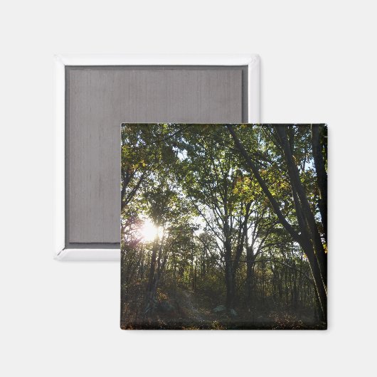 Najaarsdag in het Nationaal Park Shenandoah Magneet (Voorkant / Achterkant)