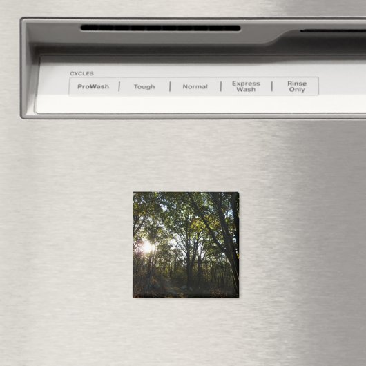 Najaarsdag in het Nationaal Park Shenandoah Magneet (Insitu (Vaatwasser))