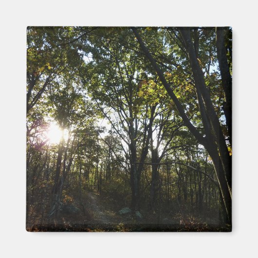 Najaarsdag in het Nationaal Park Shenandoah Magneet (Voorkant)