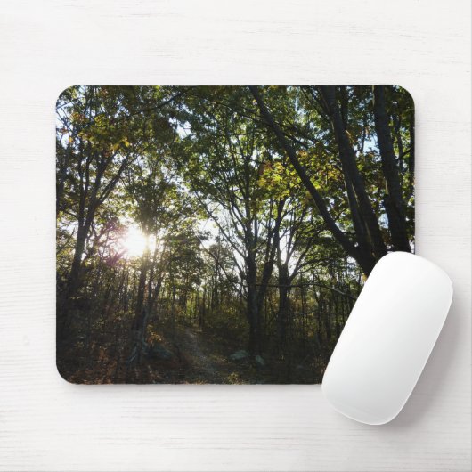 Najaarsdag in het Nationaal Park Shenandoah Muismat (Met muis)