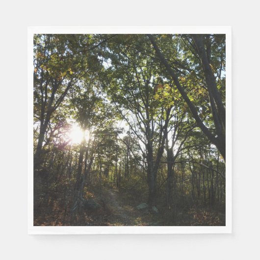 Najaarsdag in het Nationaal Park Shenandoah Servetten (Voorkant)