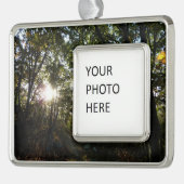 Najaarsdag in het Nationaal Park Shenandoah Verzilverd Omlijst Ornament (Links)