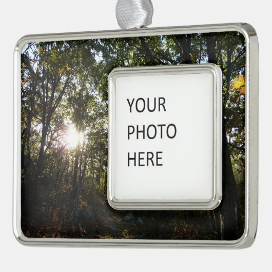 Najaarsdag in het Nationaal Park Shenandoah Verzilverd Omlijst Ornament (Links)