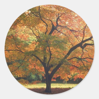 Najaarsdag van de herfst van de bruiloft ronde sticker
