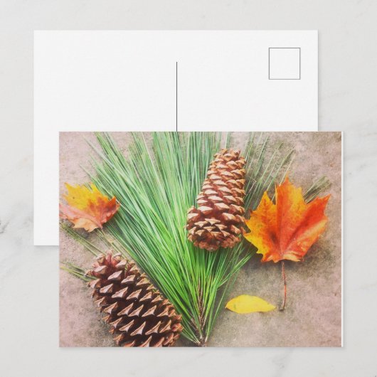 Najaarsdagen Briefkaart (Voorkant / Achterkant)