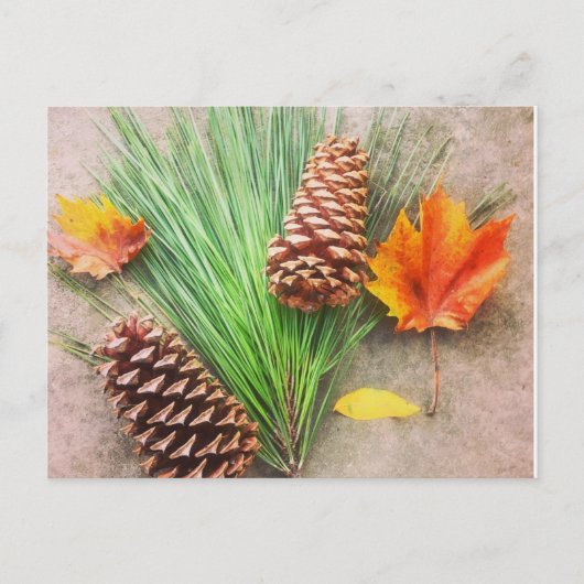 Najaarsdagen Briefkaart (Voorkant)