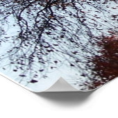 Najaarse bomen Herfst Poster (Hoek)
