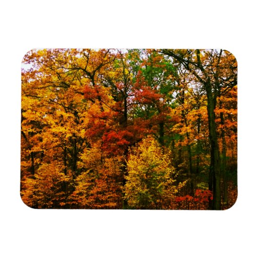 Najaarse Oranje bomen Magneet (Horizontaal)