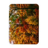 Najaarse Oranje bomen Magneet (Verticaal)