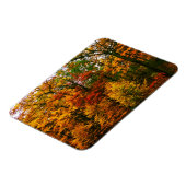 Najaarse Oranje bomen Magneet (Linkerzijde)