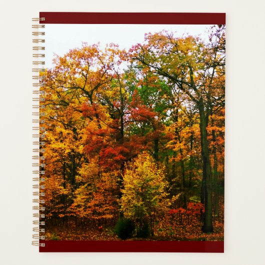 Najaarse Oranje bomen Planner (Voorkant)