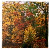 Najaarse Oranje bomen Tegeltje (Voorkant)