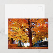 Najaarsfoto van Mark Edward Westerfield Briefkaart (Voorkant / Achterkant)