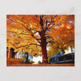 Najaarsfoto van Mark Edward Westerfield Briefkaart