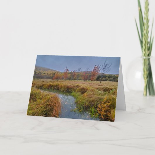 Najaarskleur in het nationaal park Acadia Kaart (Voorkant)