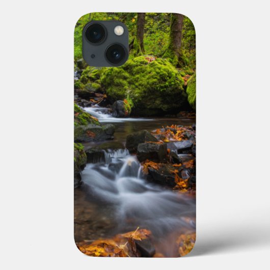 Najaarskleur langs Starvation Creek Herfsten Case-Mate iPhone Case (Achterkant)