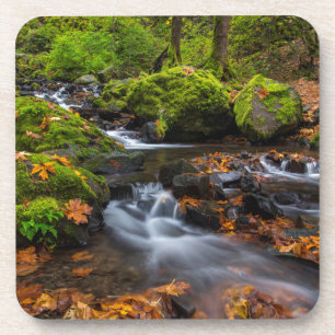 Najaarskleur langs Starvation Creek Herfsten Drankjes Onderzetter