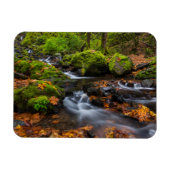 Najaarskleur langs Starvation Creek Herfsten Magneet (Horizontaal)