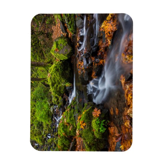 Najaarskleur langs Starvation Creek Herfsten Magneet (Verticaal)