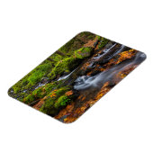 Najaarskleur langs Starvation Creek Herfsten Magneet (Linkerzijde)