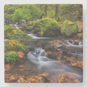 Najaarskleur langs Starvation Creek Herfsten Stenen Onderzetter