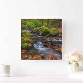 Najaarskleur langs Starvation Creek Herfsten Vierkante Klok (Huis)